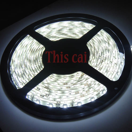 LED cтрічка 3528 холодний білий колір, вологозахищена  IP65 (5см) (світлина #1)