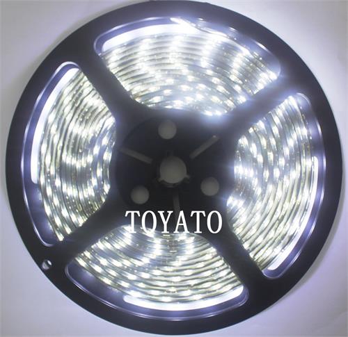 LED cтрічка 3528, холодний білий колір,чорна основа, вологозахищена IP65 (5см) (світлина #1)