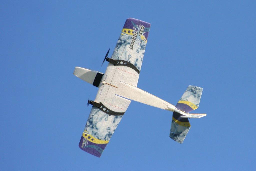 Модель для 3D-пілотажу Puddle Star (світлина #2)