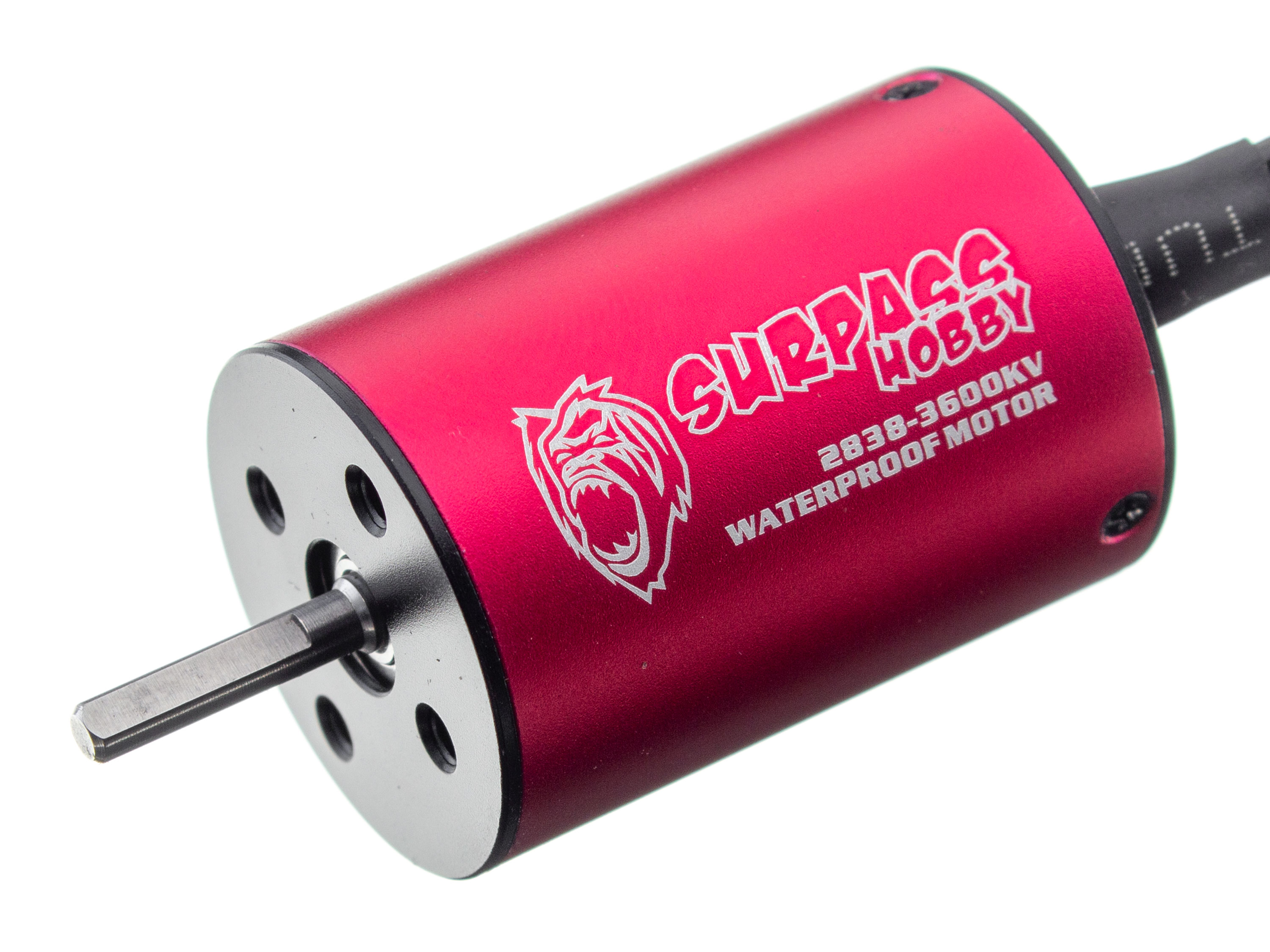 Двигун безколекторний Surpass Hobby 2838-3600kv (світлина #1)