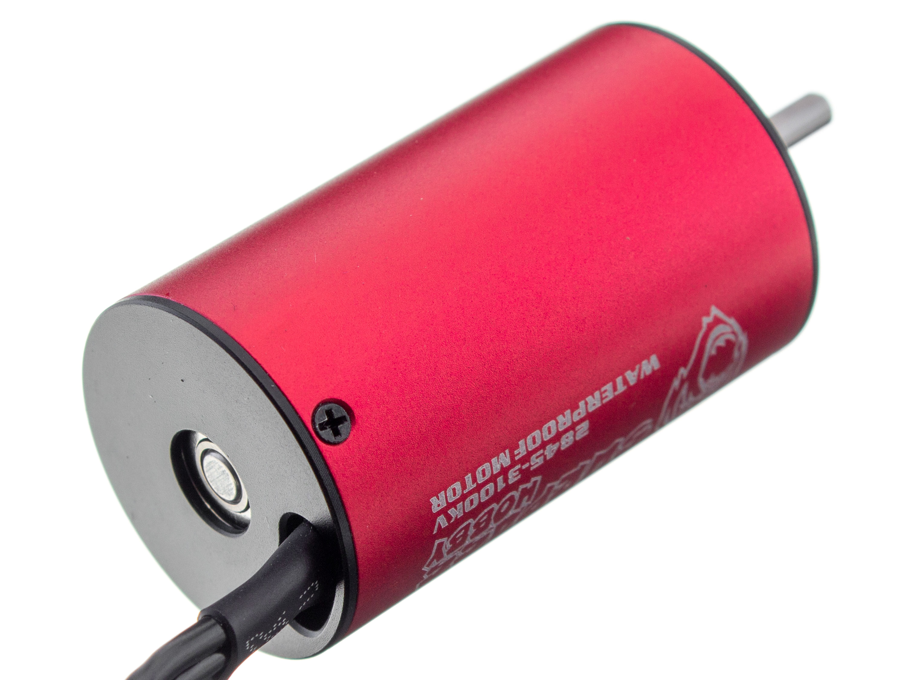 Двигун безколекторний Surpass Hobby 2845-3100kv (світлина #2)